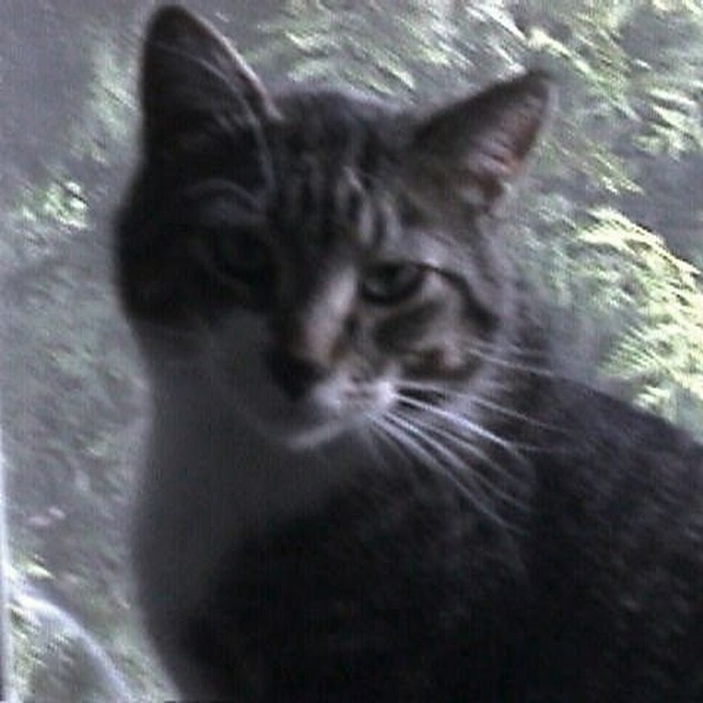 Meet your Posher, Corina